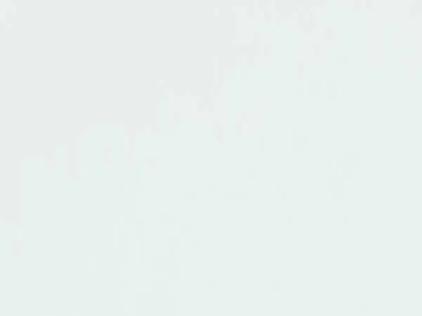 860x1985x125mm DL Zarge Wei&szlig;lack      SP