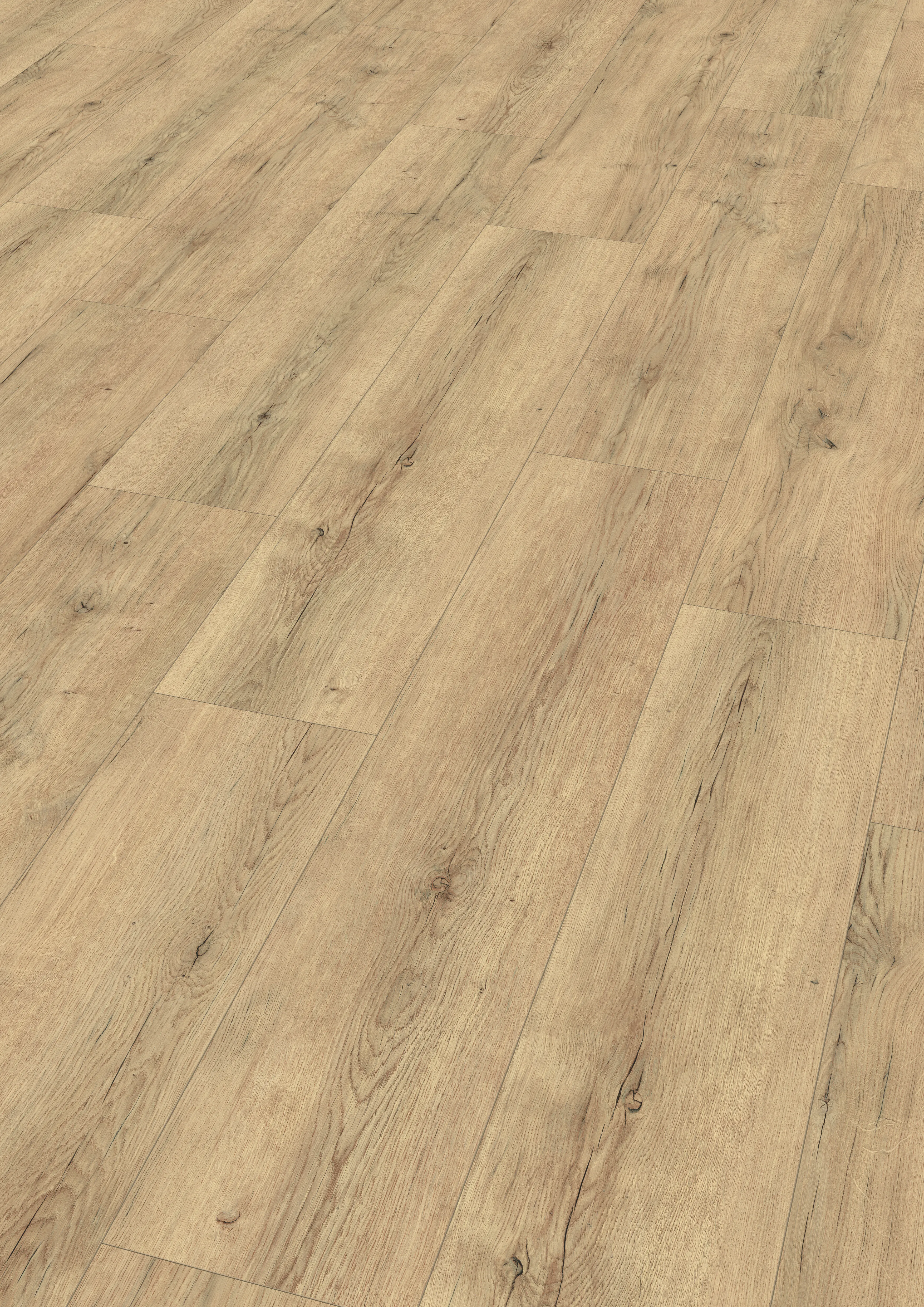 \\Ad.wurzbacher.de\systems\Allgeier\Shopbilder\Boden_Wand_Decke\Egger\2025-01 Egger\EL2141_ST55_large_wv4_perspective_10DE_flo.jpg