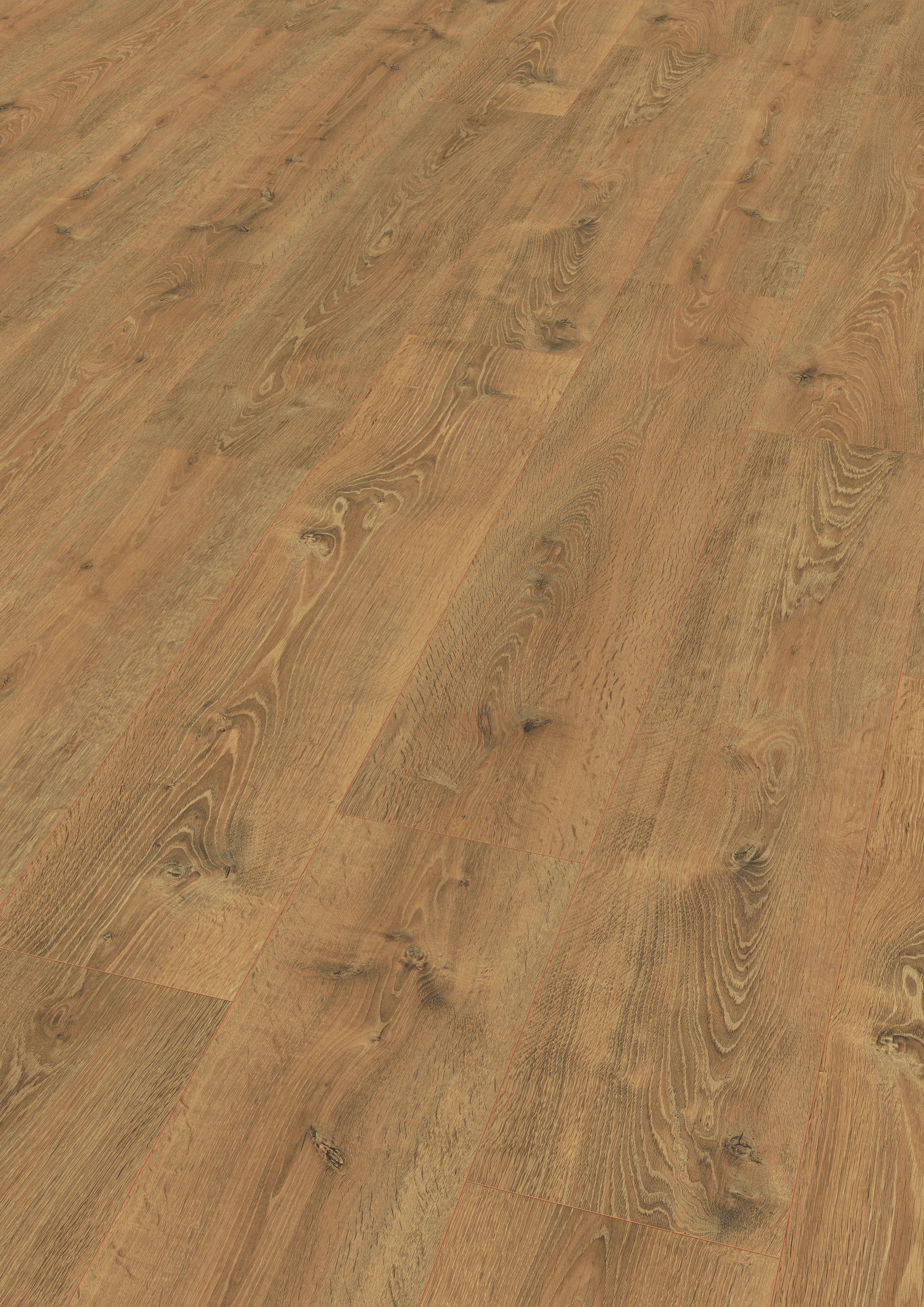 Waltham Eiche natur, Clic it!, 4V, Large