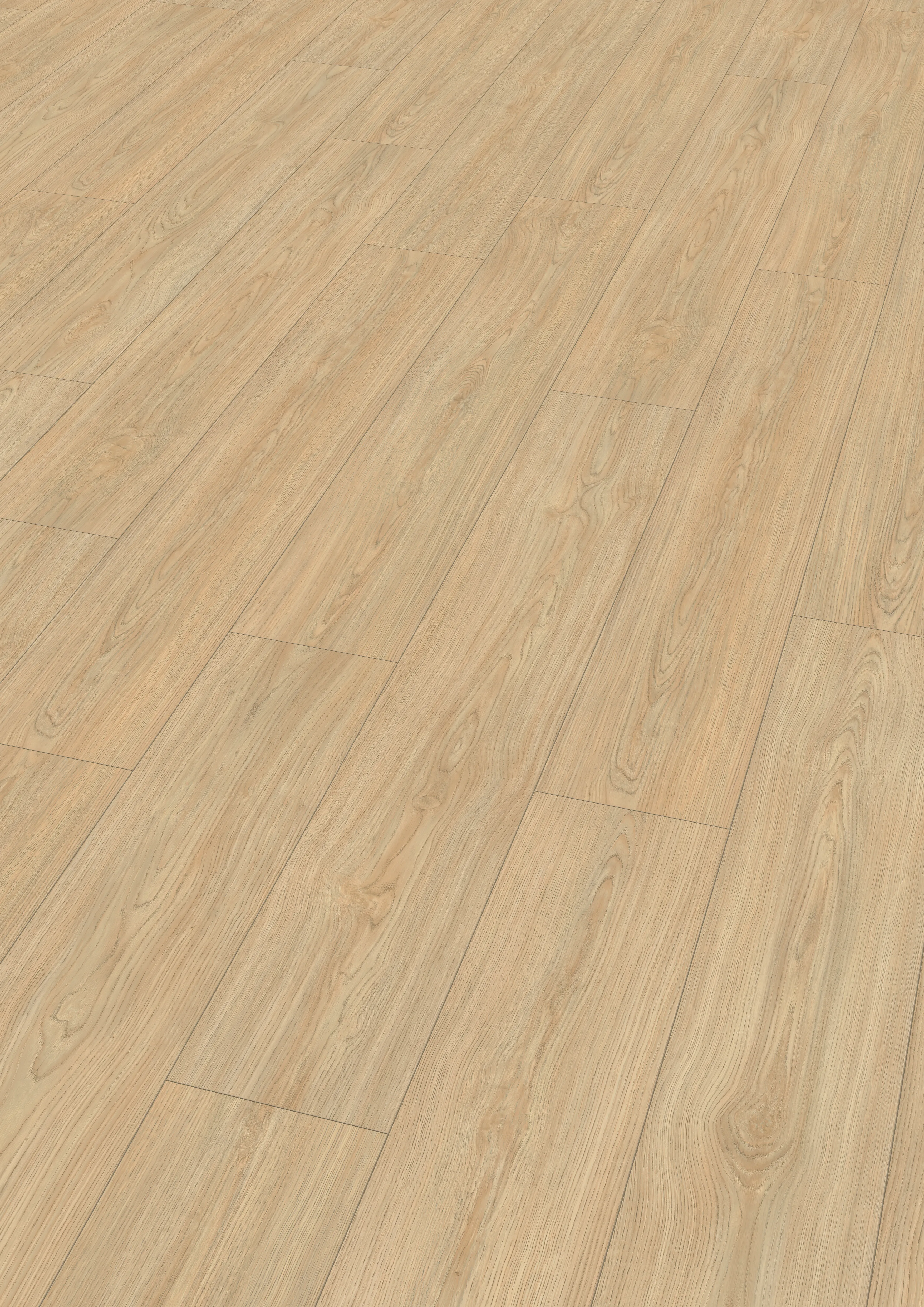 \\Ad.wurzbacher.de\systems\Allgeier\Shopbilder\Boden_Wand_Decke\Egger\2025-01 Egger\EL2151_ST61_classic_wv4_perspective_10DE_flo.jpg