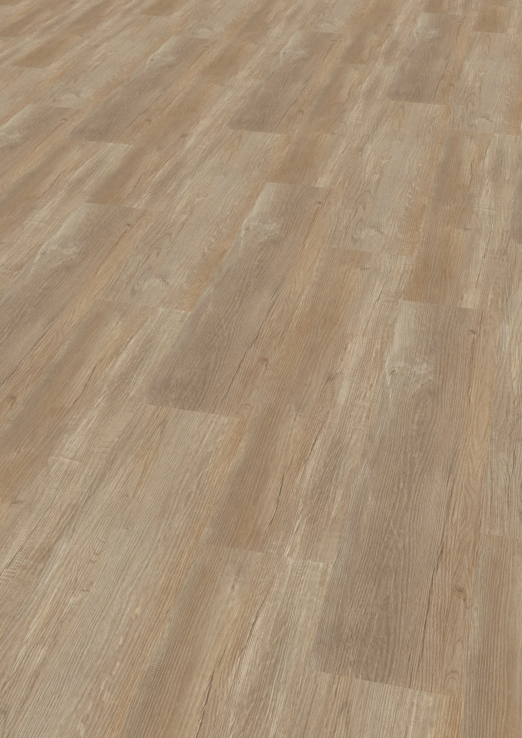 D&uuml;nen Eiche, NKL 32         Wuba      SP