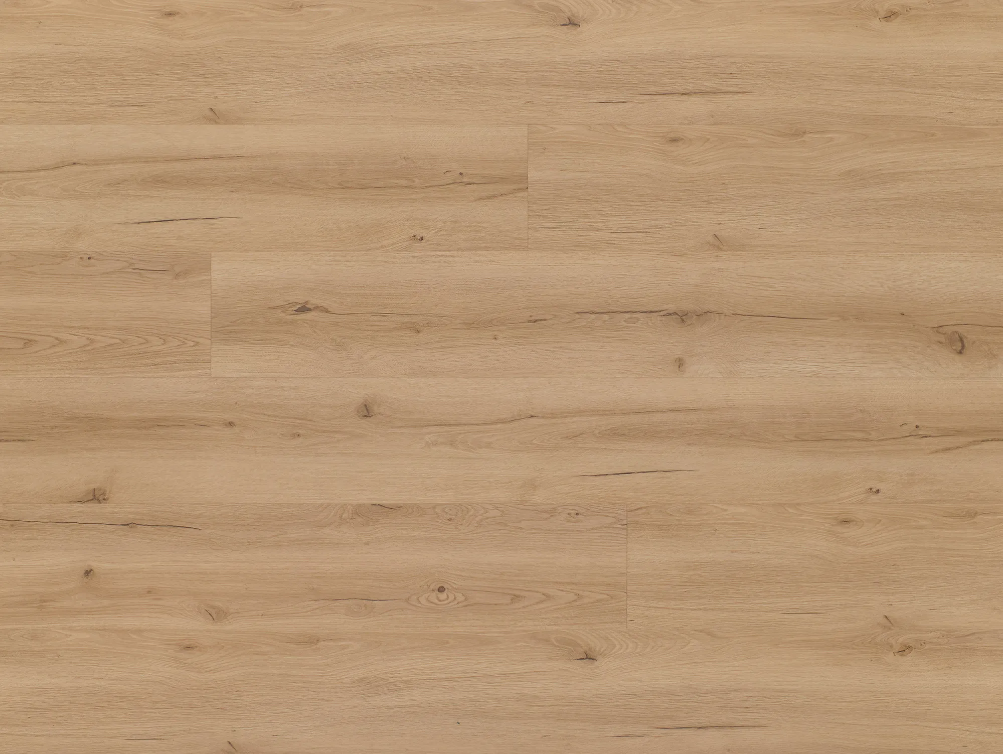 Woodpecker Oak / Ach.    AKTION 2025/26