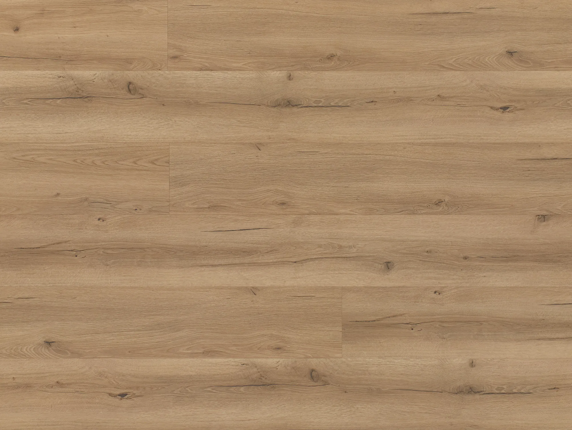 Buffalo Oak / Spin.       AKTION 2025/26