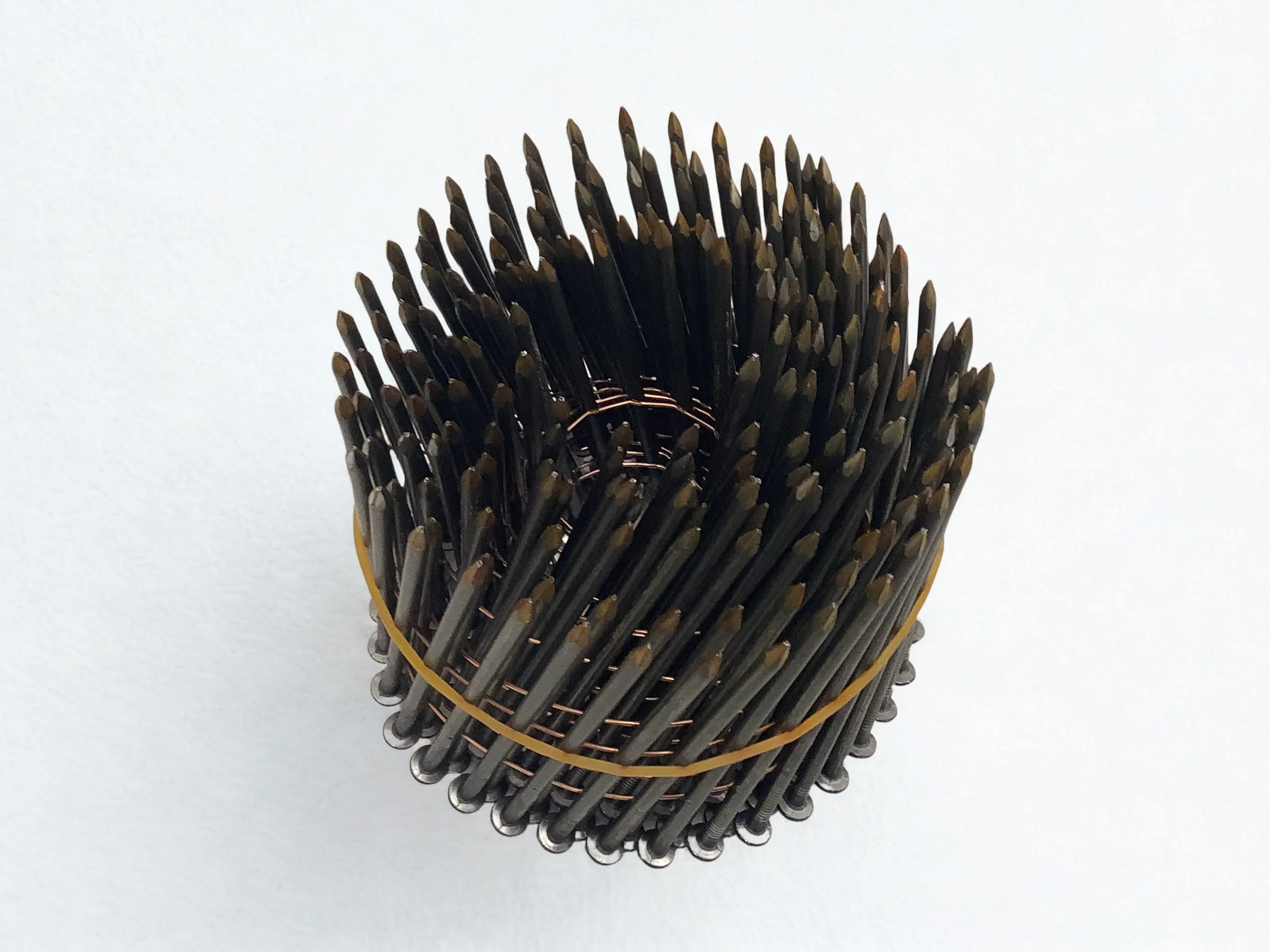 3,1x80mm Coiln&auml;gel glatt blank  3600 St.