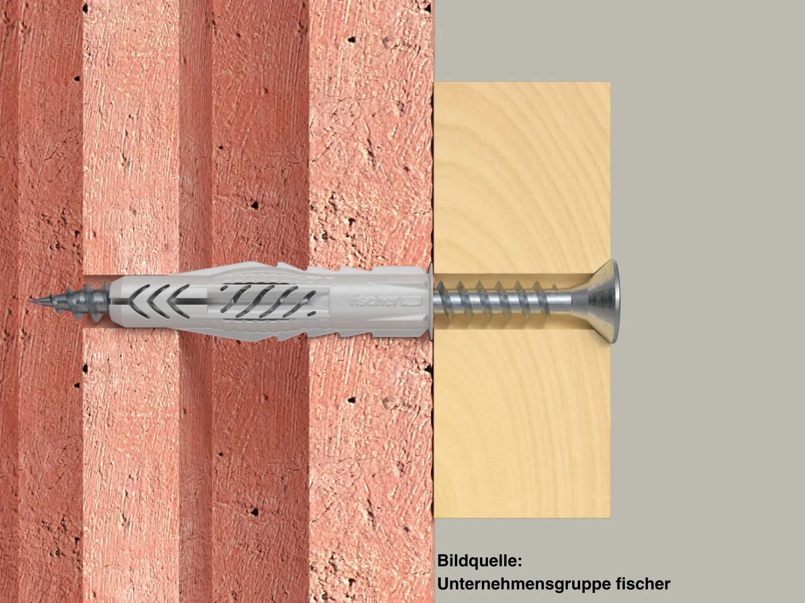 UX 6x50mm Fischer Universald.     50 St.