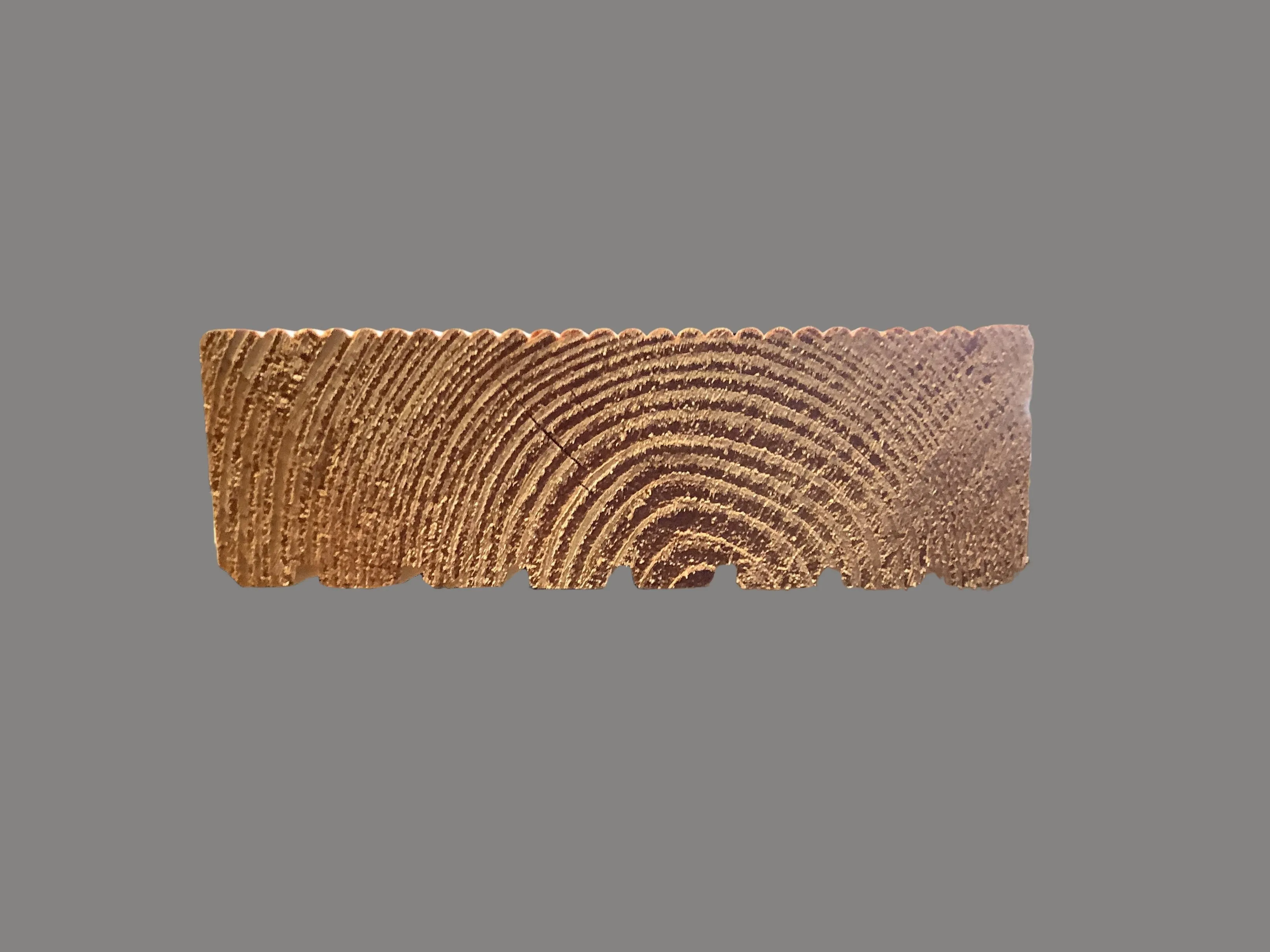 45x145mm Bodenholz Douglasie natur